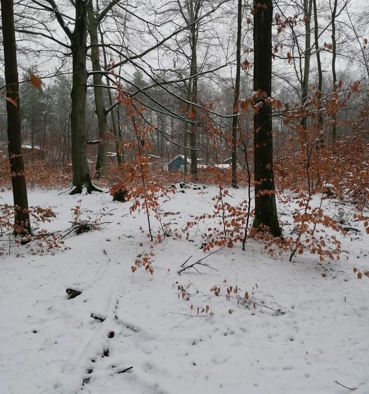 Buhlauer Waldgarten